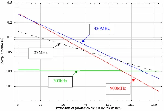 Figure I.10 : Evolution de  E N(z)   dans le muscle en fonction de la profondeur de pénétration