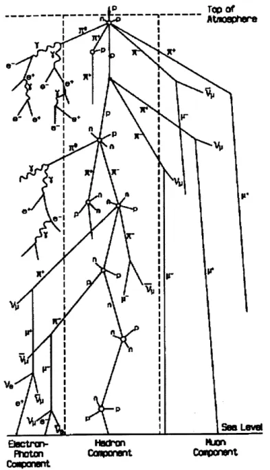 Figure  1-1:  The  figure  shows from  [1]