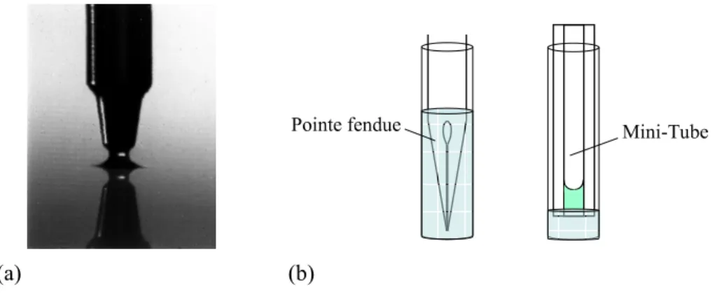 Fig. 2.17: Micro-tube de dépôt mis au point avec l’IGBMC.