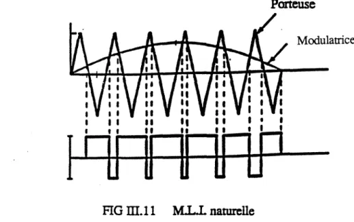 FIG ID.ll  M.L.L  naturelle 