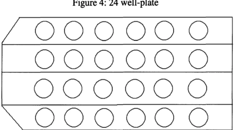 Figure 4:  24 well-plate /000000 000000 000000 000000 3.4  Cells  on Scaffold