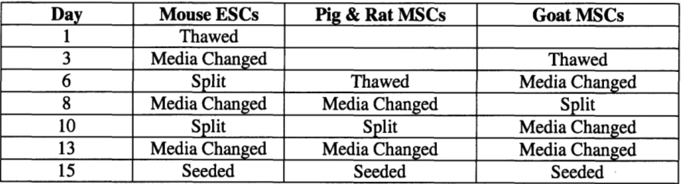 Table  1:  Cell Preparation Time  Table