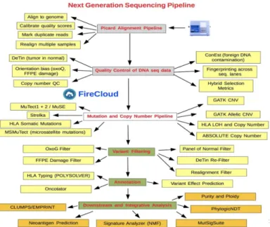 Figure 2-3: Overview of CGA Pipeline [3]