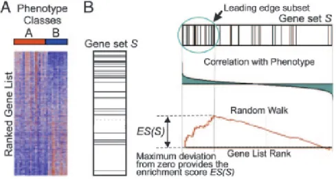 Figure 2-8: Gene Set Enrichment Analysis, adapted from [7].