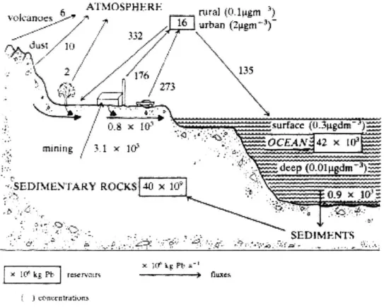 Figure  1:  The lead cycle (from  O'Neill  1993).  A  diagram  showing  the  distribution and  flows of lead  in the  environment.