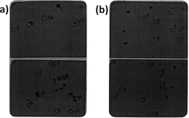 Figure 3.7: Examples of good matches  between the photoresist defects and fmal excess  metal (a) and  bad matches  (b)