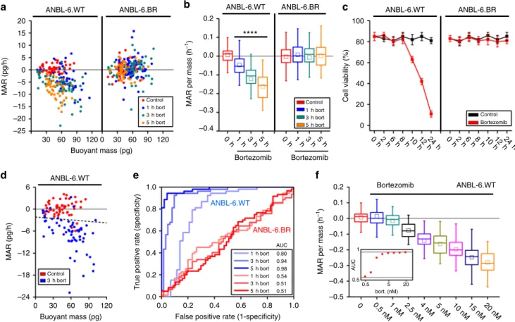 Fig. 2 Human multiple myeloma ANBL-6 cells rapidly reduce MAR upon exposure to proteasome inhibition