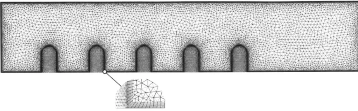 Figure  2.6:  Mesh  used  for  simulations.  The  insert  shows  the  thin  "inflation  layer"