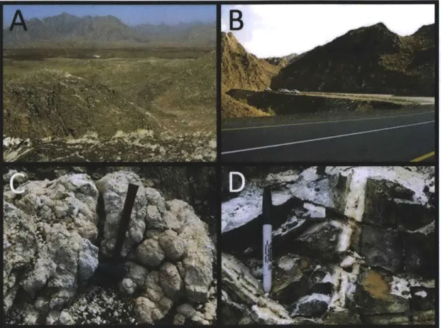 Figure  4:  Representative  images  of  Mg-rich  carbonate  veins  exposed  on  the  natural peridotite  weathering  surface  (A  and  C)  and  at  roadcuts  (B  and  D)  in  the  Samail Ophiolite