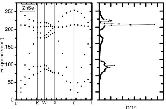 Fig. 3.2.3 – ZnSe : courbes de dispersion de phonons dans les directions de haute sym´ etrie et densit´ e d’´ etats calcul´ ees avec la m´ ethode PWscf.