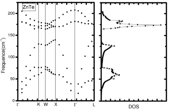 Fig. 3.2.4 – ZnTe : courbes de dispersion de phonons dans les directions de haute sym´ etrie et densit´ e d’´ etats calcul´ ees avec la m´ ethode PWscf.