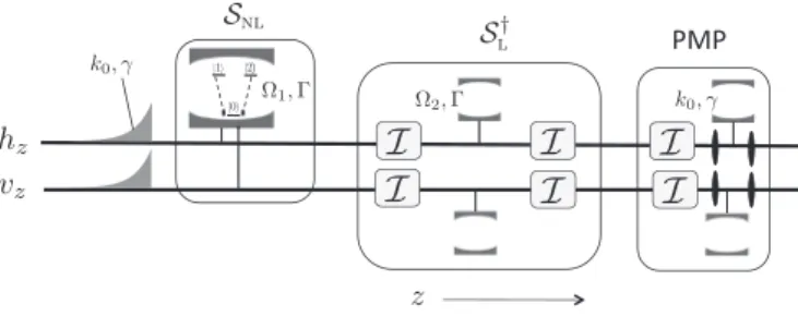 Figure 5 shows the entire process: interaction with the ∨ system (S NL ), followed by removal of linear evolution (S L † ), followed by PMP