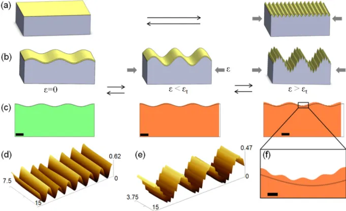 Fig. 1. Schematic representation of pattern formation during (a) compression of planar bilayers depicting formation of natural wrinkles and (b) compression of quasi-planar bilayers depicting mode lock-in at low strains and hierarchy at high strains