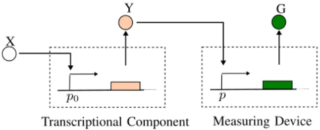 Fig. 3: Protein X acts as an input to the upstream transcriptional component, which produces the output protein Y