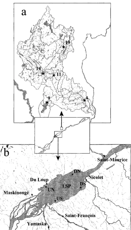 Figure  1  Map  of the  a)  des  Envies  River  watershed  and  its  tributaries,  and  the  b)  fluvial  Lake  Saint-Pierre  showing  the  geographical  position  of  the  sampling stations