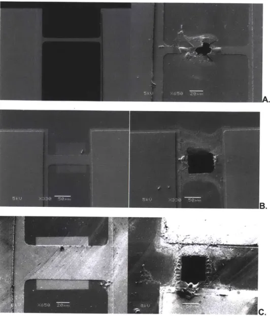Figure  4.2  SEM  microscope  images  showing  the  structure  before  and  after  activation  for each fuse width  (250  nm  Au  layer)