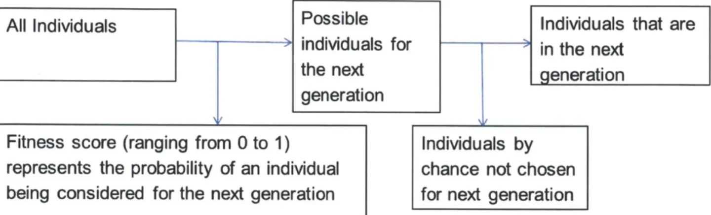 Figure  2-2:  Diagram  mapping  out how  individuals  are chosen  for  the next generation