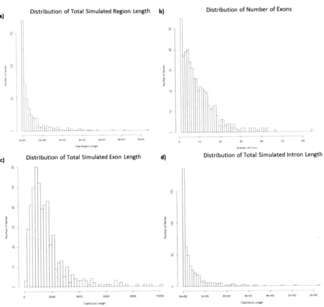 Figure  3-1:  The  distribution  of  a)  entire  simulated  region,  b)  number  of exons,  c)  length  of exons,  and d)  length  of introns  for  the 500  simulated  genes based  off of  500 randomly  chosen genes  in  the  genome.