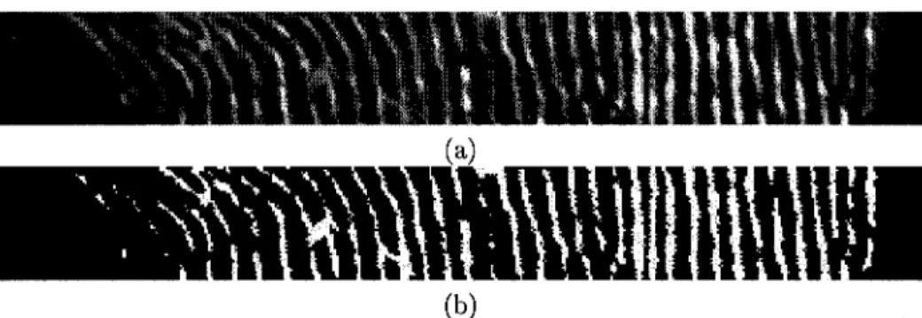 FIG.  4.1  - Conversion  d'une région  d'étude sur une  écaille de  corégone  nain  (a)  en  une  image  binaire avec  un seuil de  128  (b) 