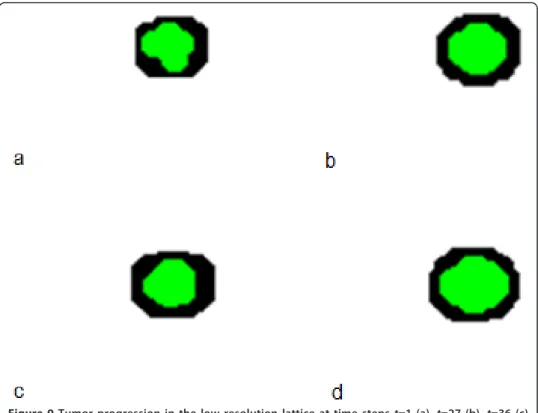 Figure 9 Tumor progression in the low resolution lattice at time steps t=1 (a), t=27 (b), t=36 (c) and t=100 (d)