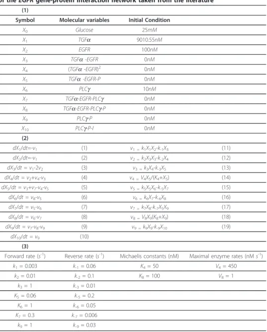 Table 1 [16] - (1) Components of the EGFR gene-protein interaction network, (2) Kinetic equations employed to describe the reactions between the EGFR species, (3) Coefficients of the EGFR gene-protein interaction network taken from the literature