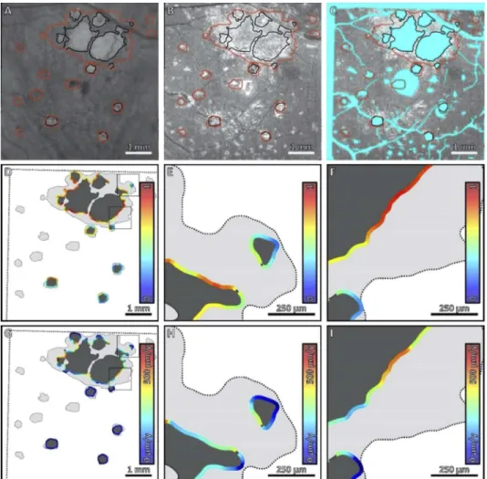 Fig. 3. Comparison of local HOC metric and local GA growth rate along the margin of GA for Case 4