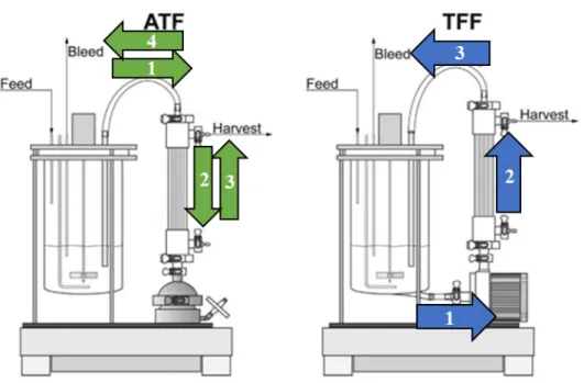Figure 2-4. ATF and TFF. In ATF, the feed stream alternates direction via a diaphragm pump 