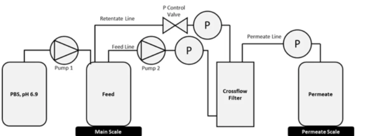 Figure 3-3. Crossflow Filter Set-up. The schematic illustrates the crossflow filter set-up