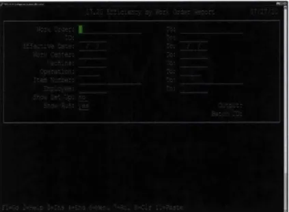Figure 4-2: Efficiency by Work Order  Report screen