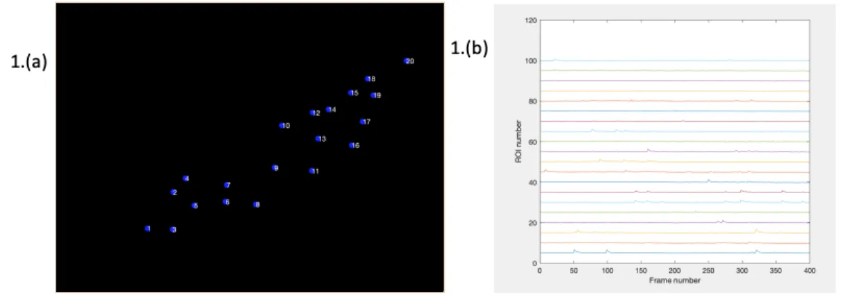Figure 2-3: First Example of Florescence Tracing