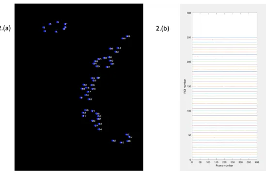 Figure 2-4: Second Example of Florescence Tracing: this image and image 2-3 show the types of output that are able to be generated with the florescence tracing portion of the pipeline