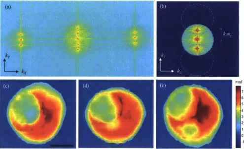 Figure 3.4  Data processing.  (a)  Two-dimensional  Fourier  transform of the raw  interferogram,  whose  magnitude  is  shown  in a logarithmic  scale  of base  10