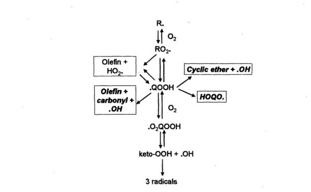 Figure  1-1.  Reaction  pathways  important  in low temperature  (500 - 1000K)  oxidation.
