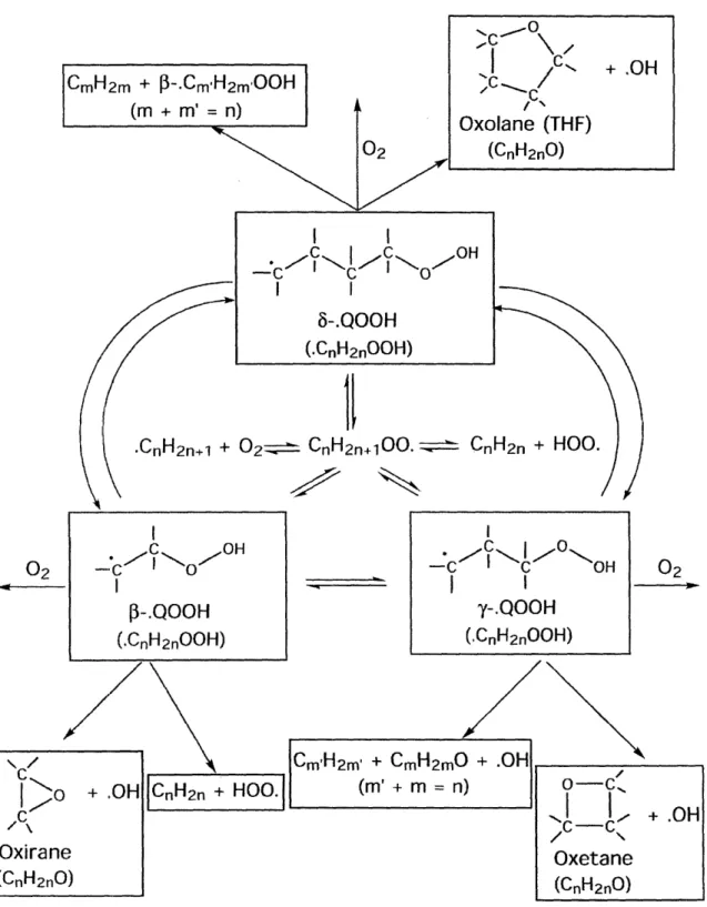 Figure 2-1.  R02'  reaction pathways in low-temperature oxidation ,C I  " Oxolane  (THF)(CnH2nO)I IlF-I I  l 0OHI I8-.QOOH(.CnH2nOOH)02-
