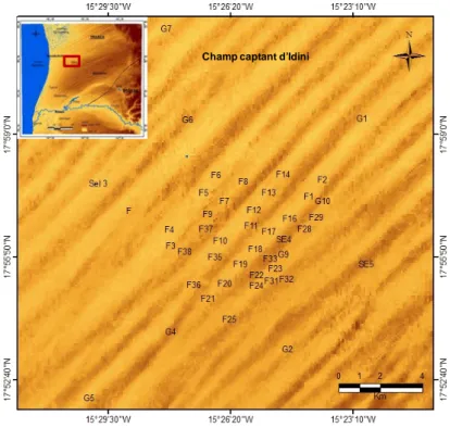 Fig. II.4 Localisation des forages et piézomètres du champ captant d’Idini 