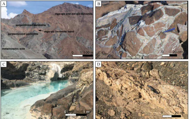 Figure  II.10:  (A)  Affleurement  de  bandes  de  listvenite  dans  la  péridotite  serpentinisée  à  Wadi  Mansah  (Falk  et  Kelemen,  2015) ;  (B)  Fractures  remplies  de  dolomite  recoupant  la  dolomite  et  le  quartz finement intra-cristallisés (
