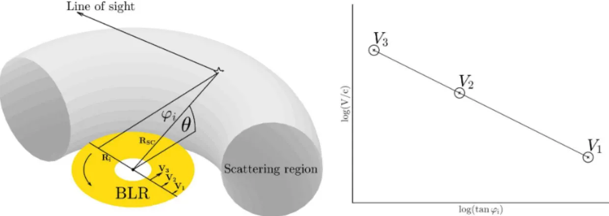 Figure 2: Schematic view of light scattered from the inner part of the torus (left). Expected relation between ϕ and velocity intensity (right)
