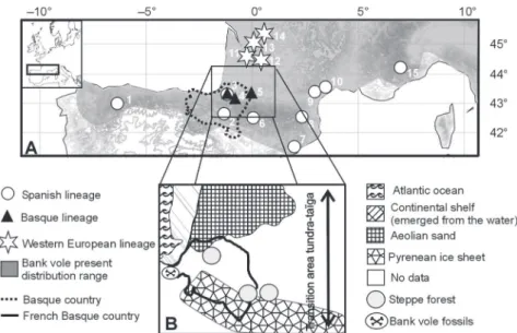 Fig. 1 (A) Distribution of the bank vole (Myodes glareolus) sampled around the Pyrenees and the groups revealed by the genetic and morphological analyses