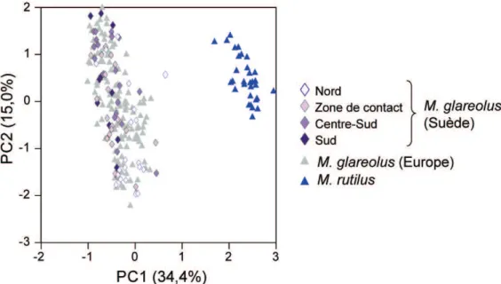 Figure 2. Différences de forme de la UM3 entre Myodes glareolus et Myodes  rutilus représentée sur les deux premiers axes d’une analyse en composante  principale réalisée sur les coefficients de Fourier