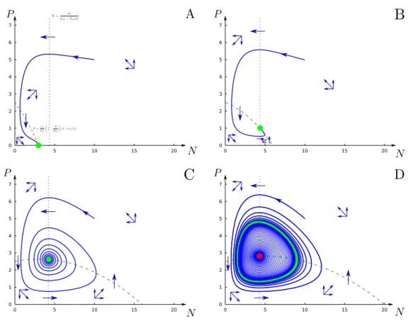 Figure 2.8 – Trajectoires du modèle de Rosenzweig-MacArthur (trait plein - r N = 5, λ N = 2, α N = 1, h N = 0.1 et m = 3 )