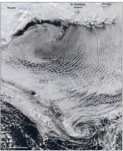 Fig. 1.5 – Formation d’un cyclone et d’un anticyclone au-dessus de la Mer de Bering (NASA Earth Observatory Collection).