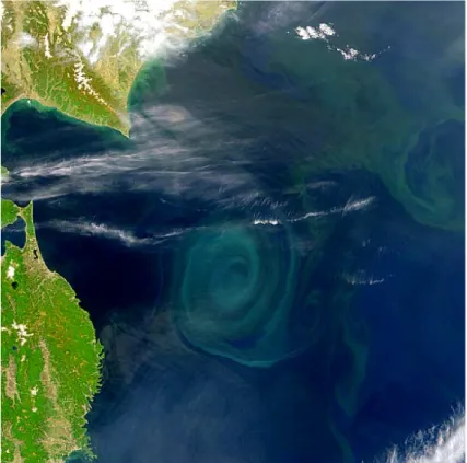 Fig. 1.6 – Tourbillon océanique au large du Japon (NASA/Goddard Space Flight Cen- Cen-ter).