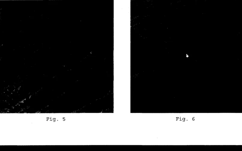 Fig.  5  Fig.  6 