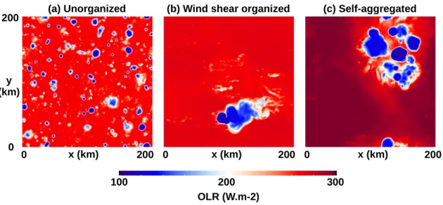 Figure 2.2 Snapshots of Outgoing Longwave Radiation (OLR) in the domain, in the Radiative-Convective Equilibrium state, towards day 80 or 81 of the control runs, for three convective types with different convective organisation: (a) unorganised case, (b) w
