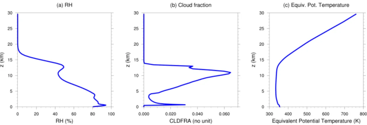 Figure 2.4 Horizontally-averaged equilibrium profiles for the 3D unorganised control simulation (3D-Ctrl) (see table D.1), computed on the last month of the simulation.