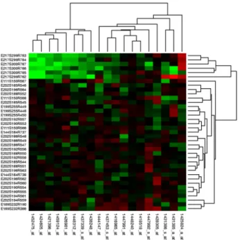 Figure 2.8: Heat map generated from DNA microarray data reflecting gene expression values in several conditions