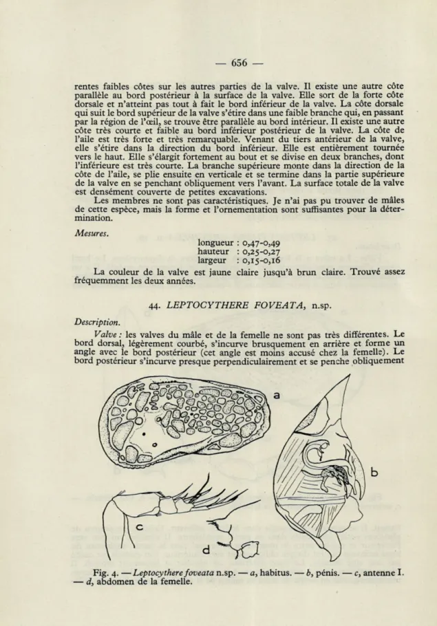 Fig.  4. —Leptocythere foveata n.sp.  — a, habitus. — b, pénis. — c, antenne I. 