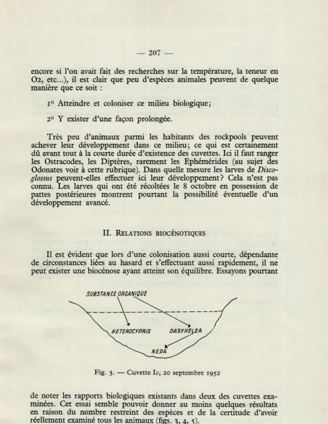 Fig.   3.  —  Cuvette  le,  20  septembre  1952 