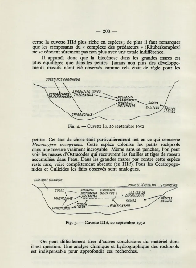 Fig.  4.  —  Cuvette   la,   20  septembre  1952 