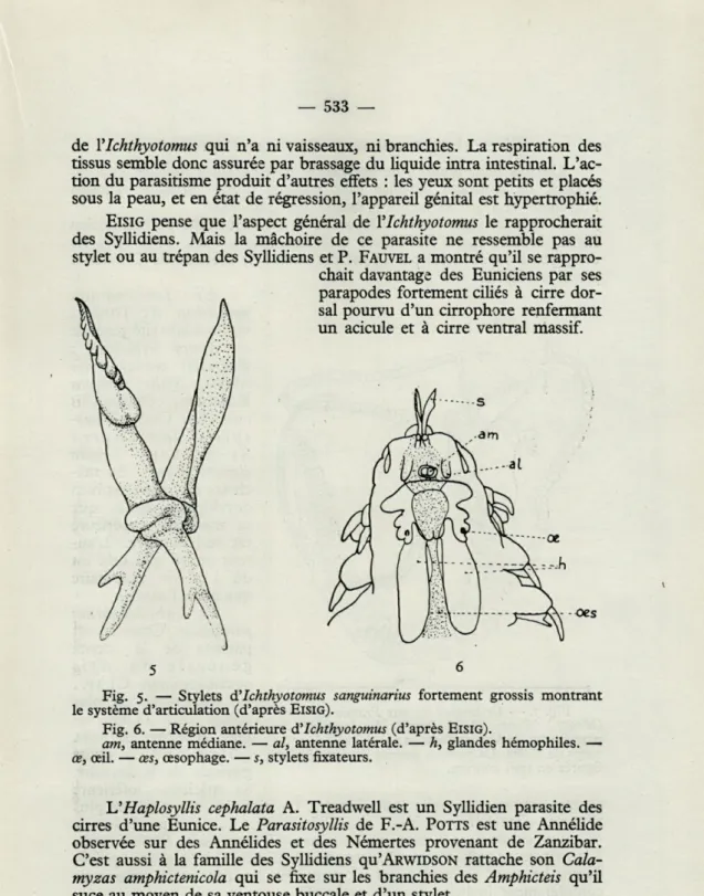Fig.  5.  —  Stylets  A'Ichthyotomus  sanguinarius  fortement  grossis  montrant  le  système  d'articulation  (d'après   EISIG)